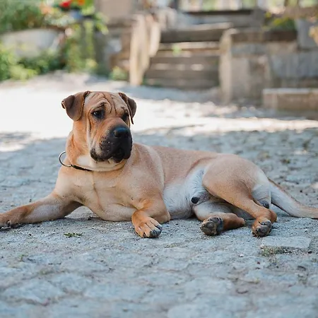 Idyllischer Bauernhof Mit Viel Charme