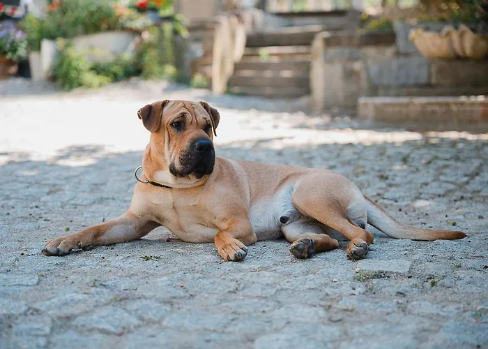 Idyllischer Bauernhof Mit Viel Charme